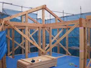 建方1