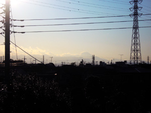 屋根の上からの景色