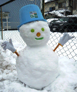 雪が積もりました