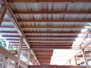保育棟化粧垂木・天井板張り２