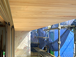 テラス軒天張り