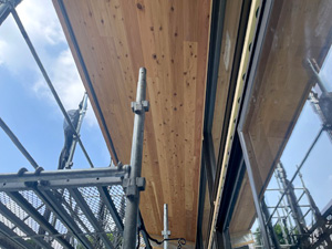 軒天:杉羽目板貼り No.2